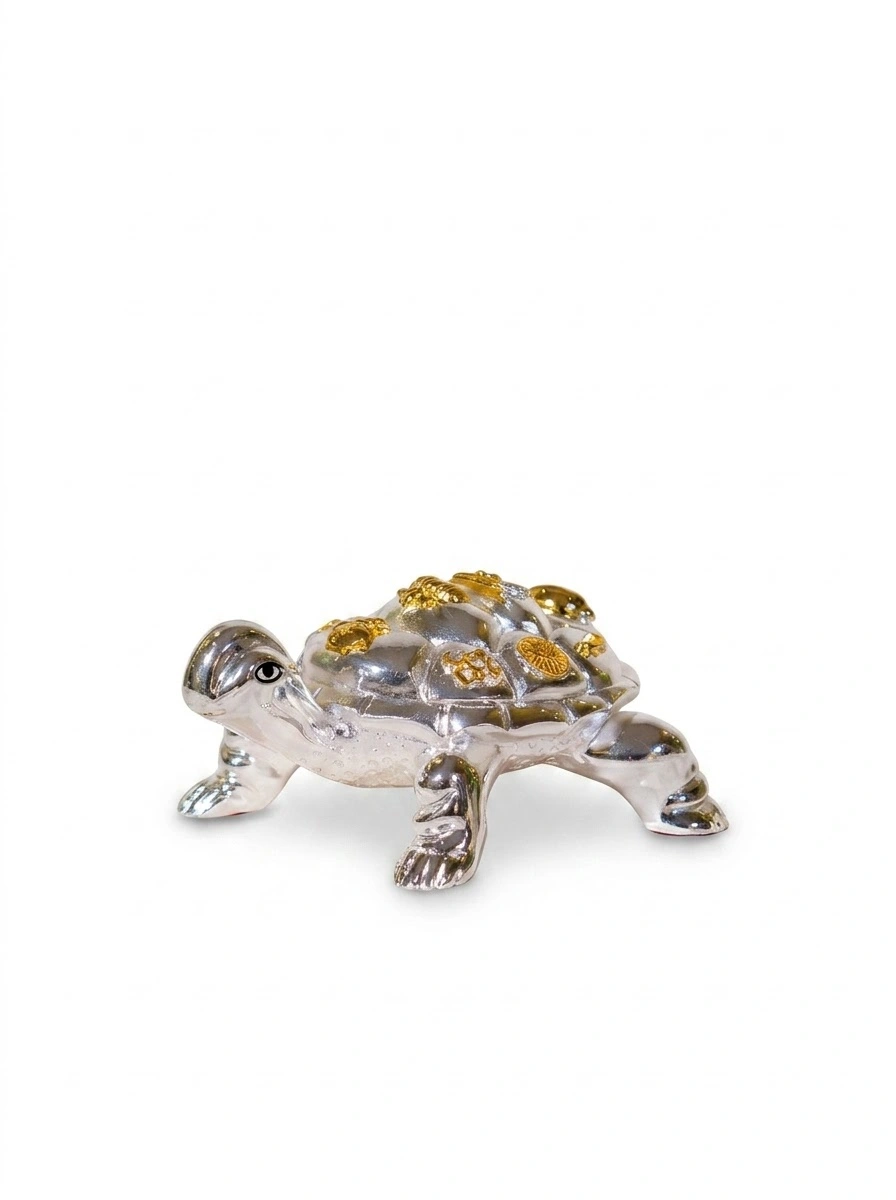 Vastu Tortoise